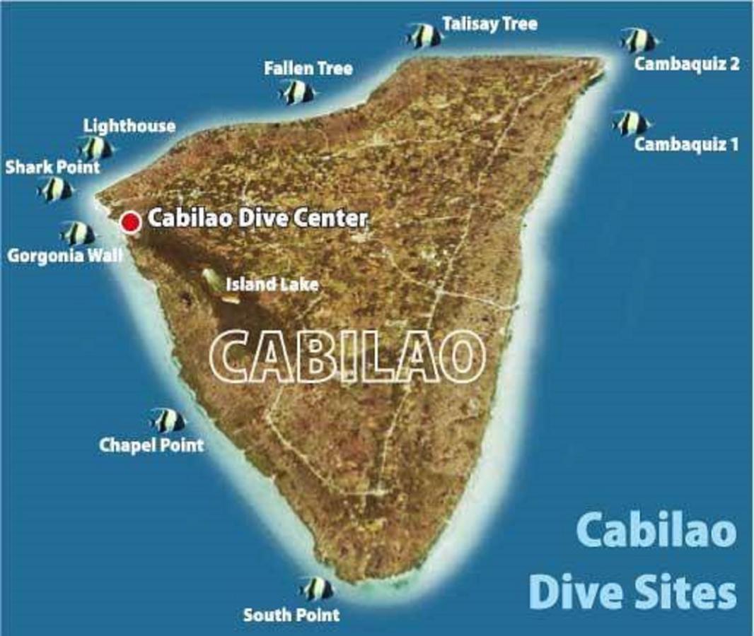 La Estrella Beach Resort & Cabilao Dive Center Loon Esterno foto